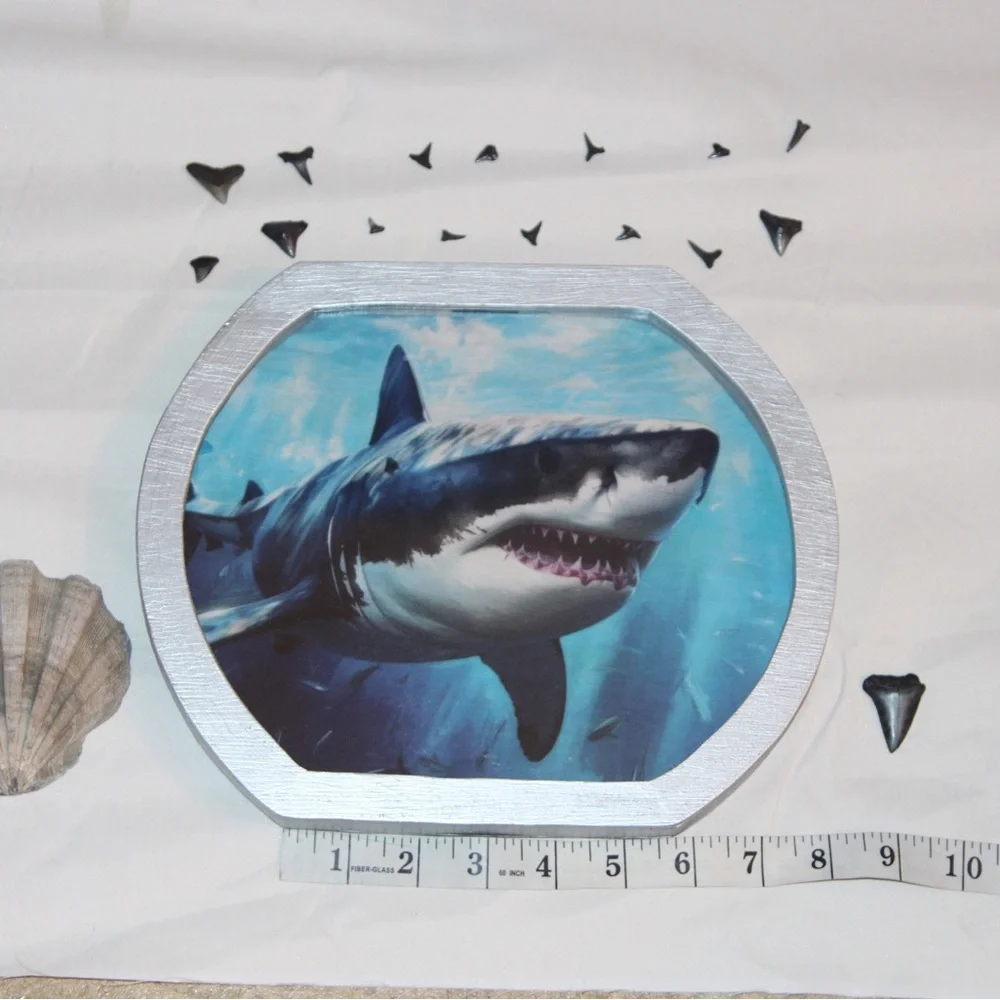 Oceanic Scene Shark teeth holders or piggy banks.